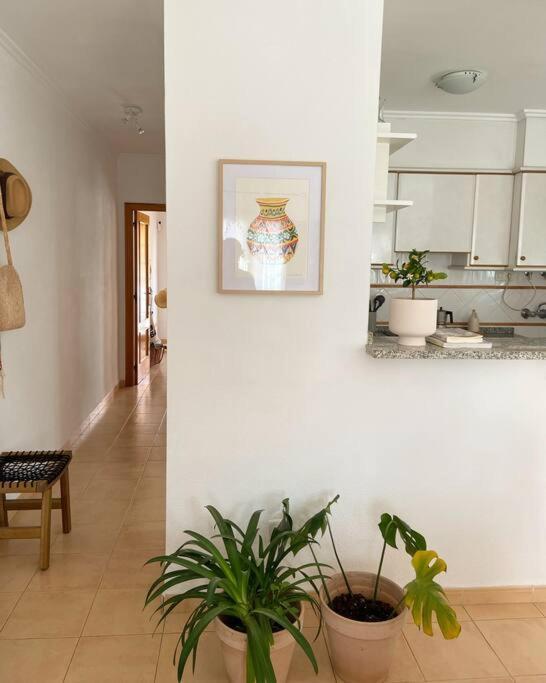 Apartamento Mediterraneo Entre Vinedos Jesus Pobre Екстер'єр фото